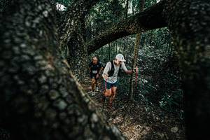 BIB: 
                            <button type="button" onclick="openModal(25391963)" class="btn btn-primary btn-sm float-right btn-popup" data-toggle="modal" data-target=".modal-high-quality">
                        <i class="fas fa-shopping-cart"></i> Add to Cart
                    </button>
                                            <button type="button" onclick="isThisMe(25391963, true)" class="btn btn-success btn-sm float-right btn-popup btn-isme hidden" data-toggle="tooltip" data-placement="bottom" title="นี่คือรูปของคุณใช่ไหม คลิกที่นี่เพื่อเอาเข้าอัลบั้ม">
                        <i class="fas fa-plus"></i> Add to album
                    </button>
                    <button type="button" onclick="isThisMe(25391963, false)" class="btn btn-warning btn-sm float-right btn-popup btn-isnotme hidden">
                        <i class="fas fa-ban"></i> Remove from album
                    </button>